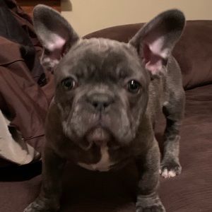 Meet your Posher, Johnny